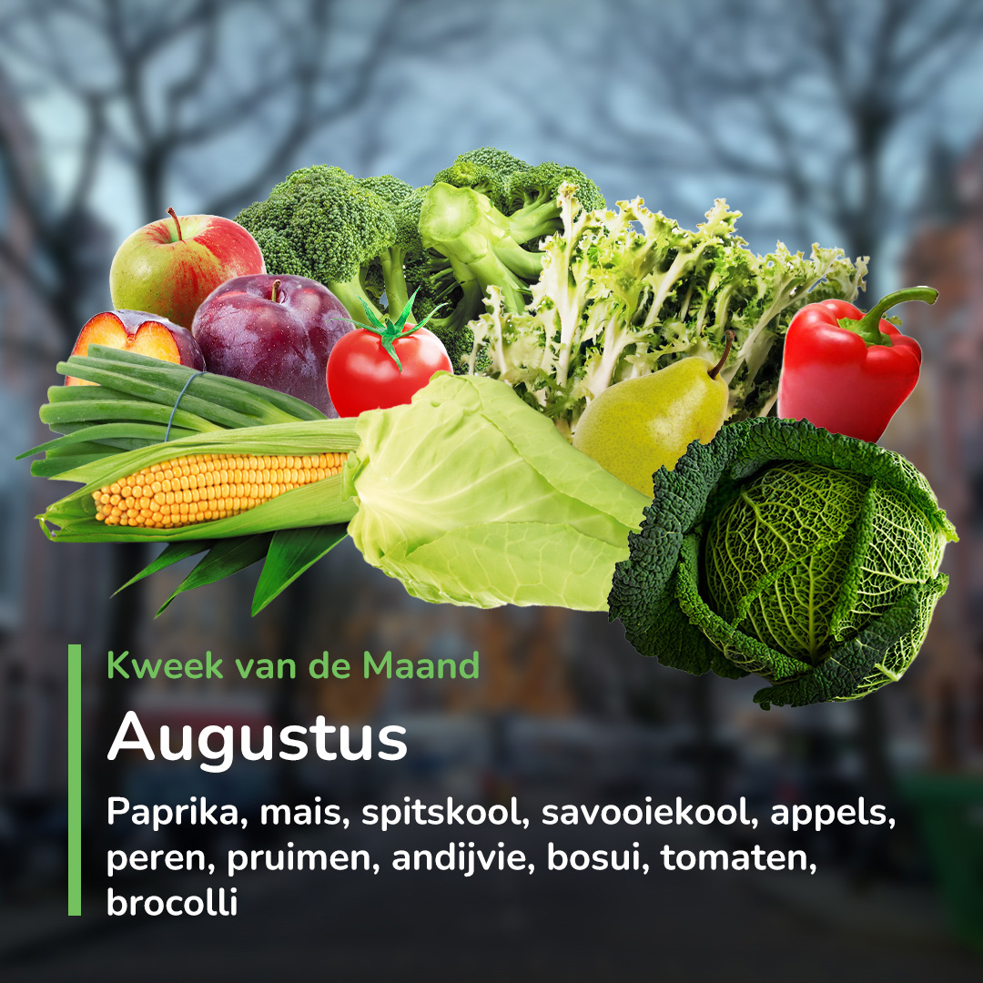 Kweek van de Maand: augustus 2024