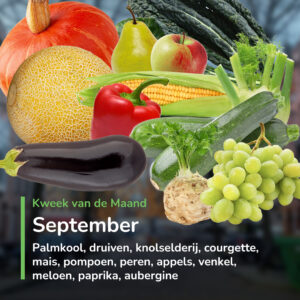 Kweek van de Maand - september