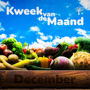 Kweek van de Maand - december