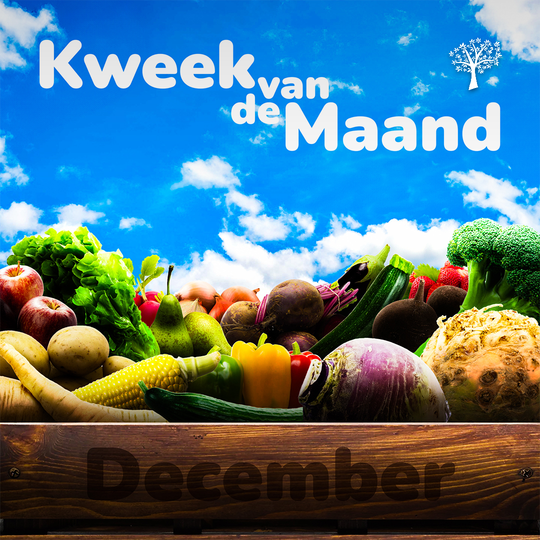 Kweek van de Maand: december 2024